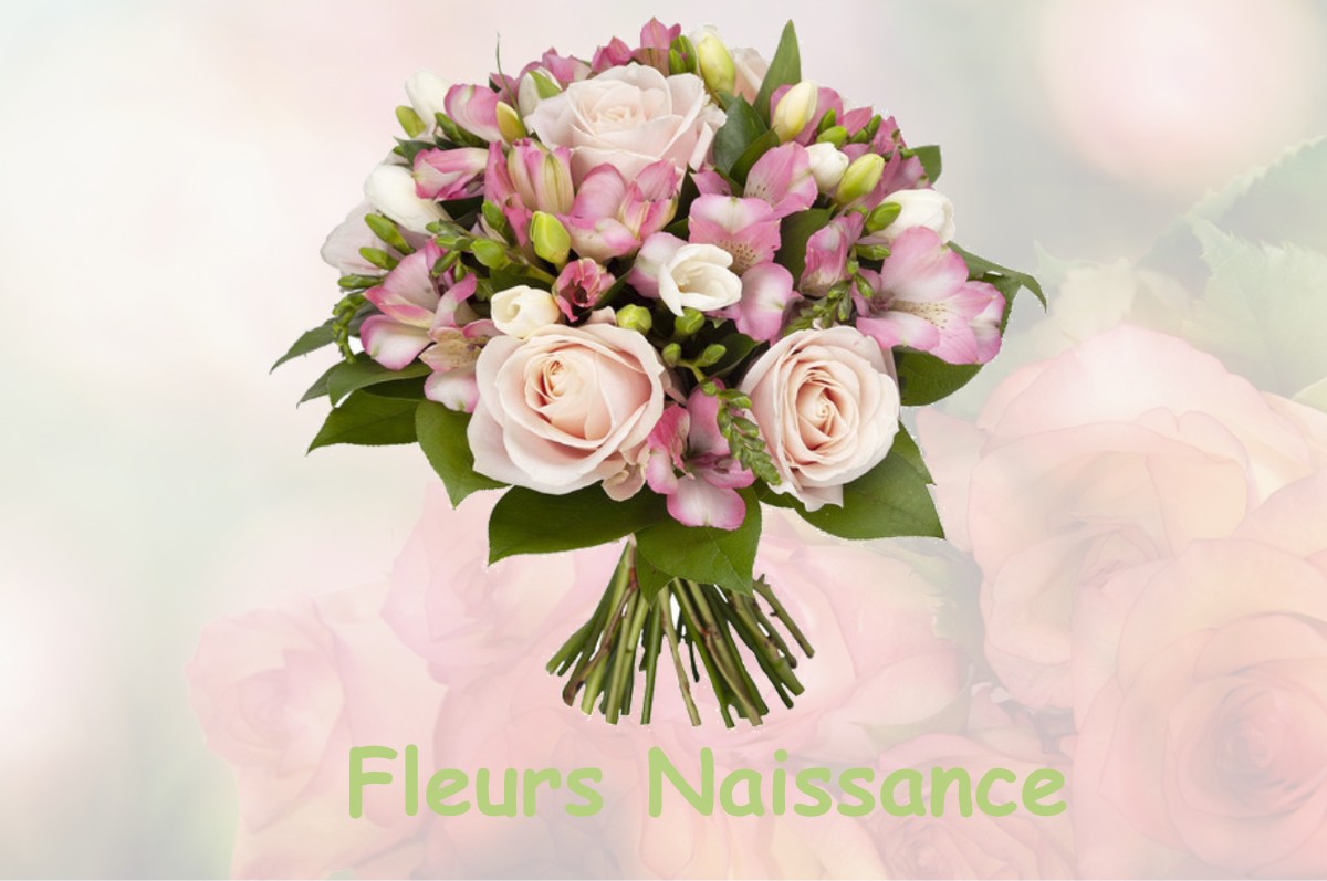 fleurs naissance CHATRES-LA-FORET