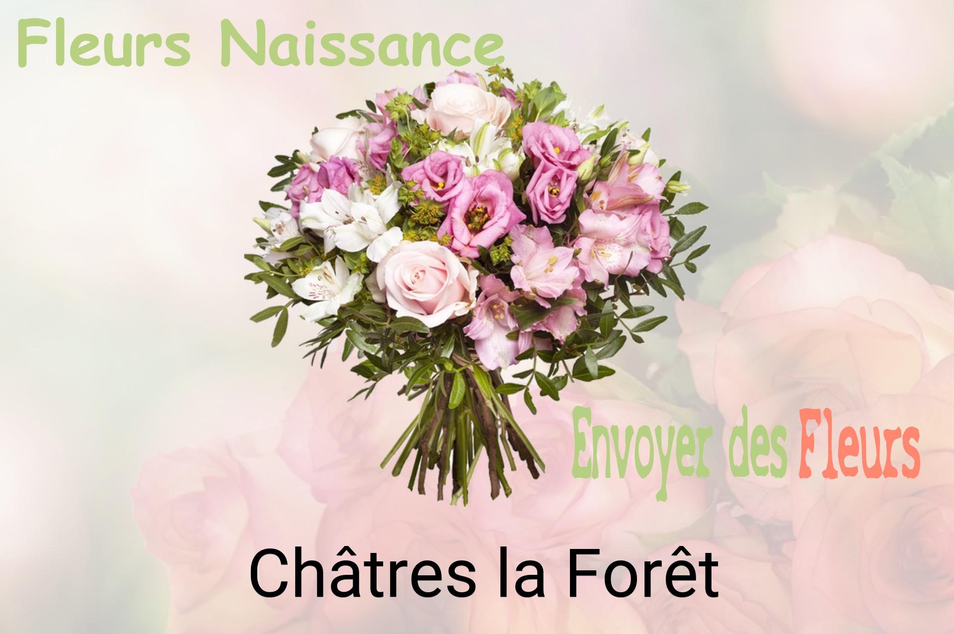 Bouquet de fleurs de naissance livré à Châtres-la-Forêt