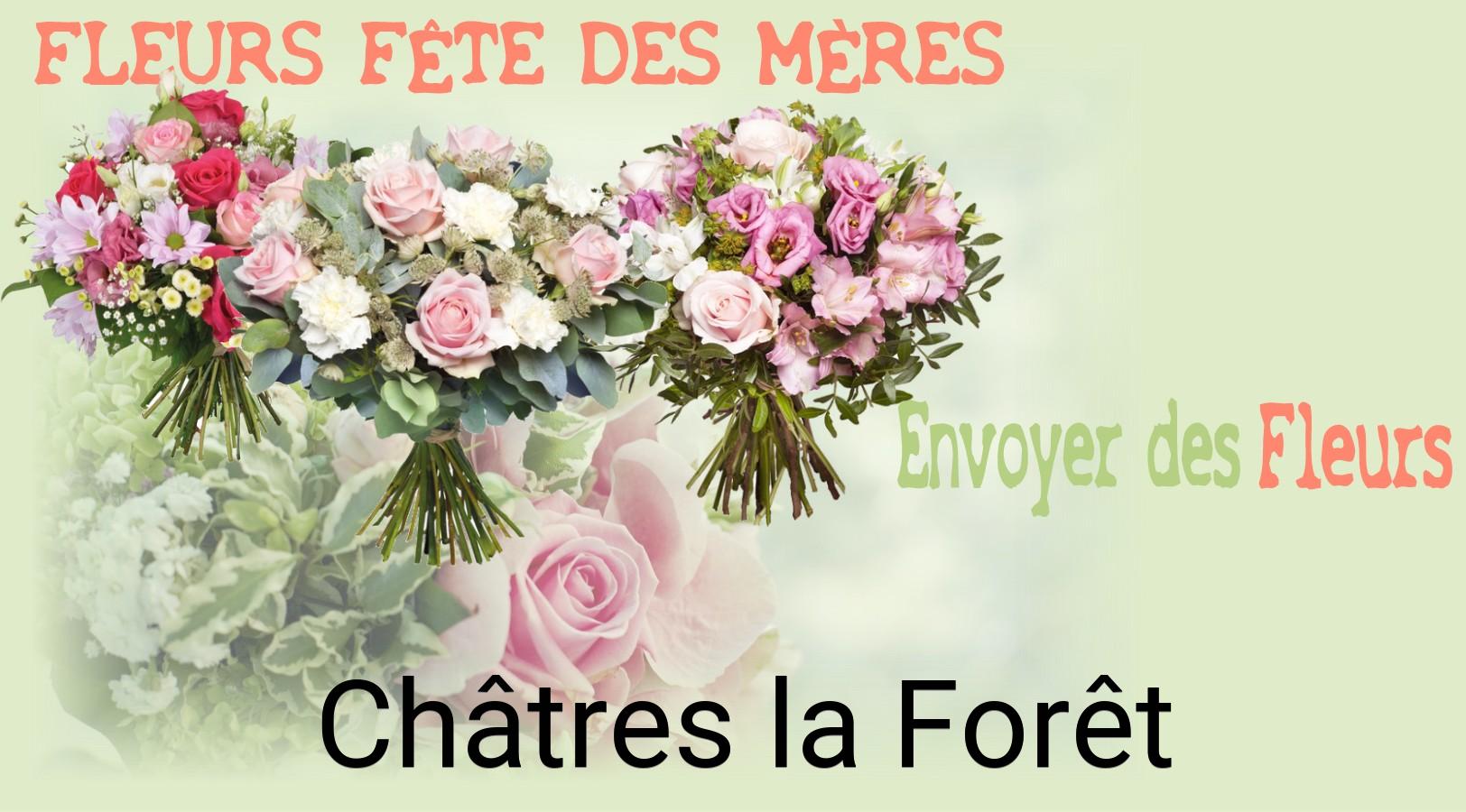 Bouquet de Fête des Mères livré à Châtres-la-Forêt